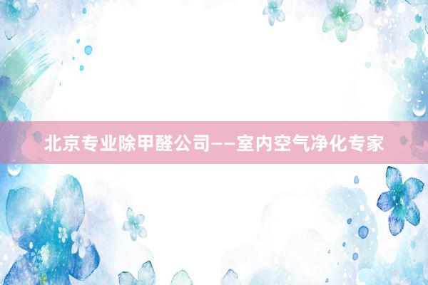 北京专业除甲醛公司——室内空气净化专家